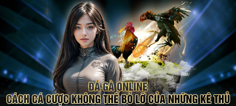 Hướng dẫn tham gia sảnh đá gà trực tuyến BET88