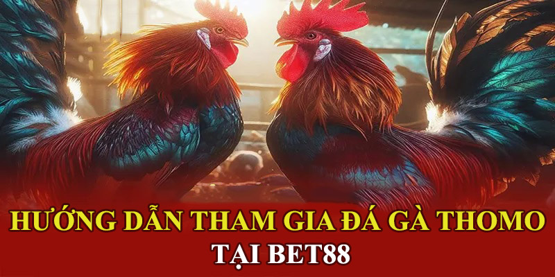 Các bước tham gia đá gà Thomo tại BET88