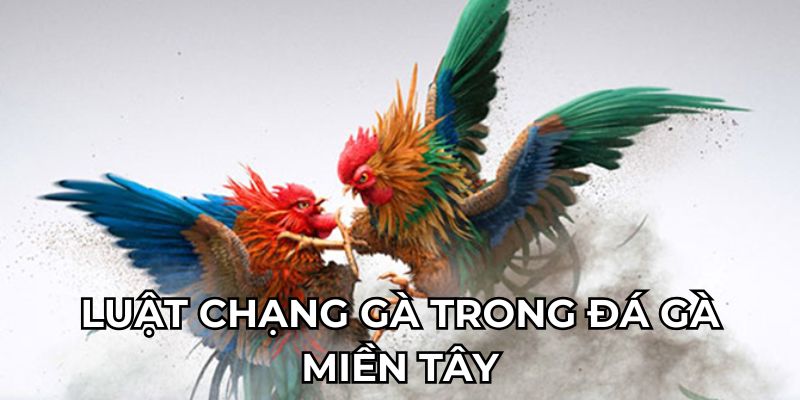 Luật chạng gà trong đá gà miền tây